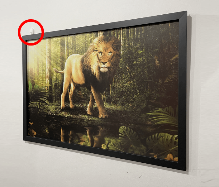 ganchos autocolantes pendurando quadro sem furar a parede